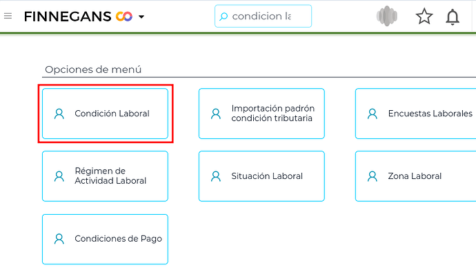 Condición Laboral