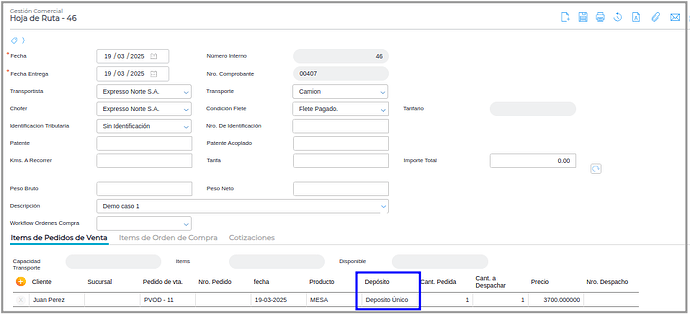 Caso 1 - Hoja de Ruta - Demo
